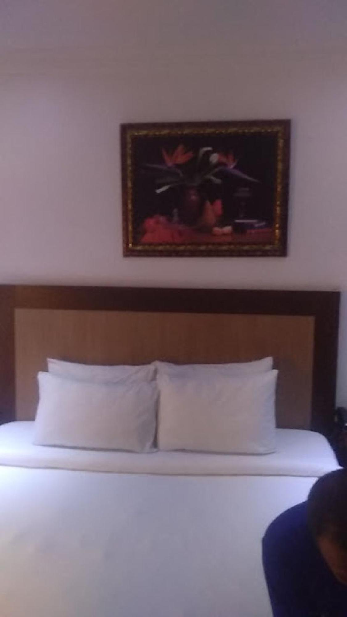 Room In Bb - Immaculate Royal International Hotel Overri Kültér fotó